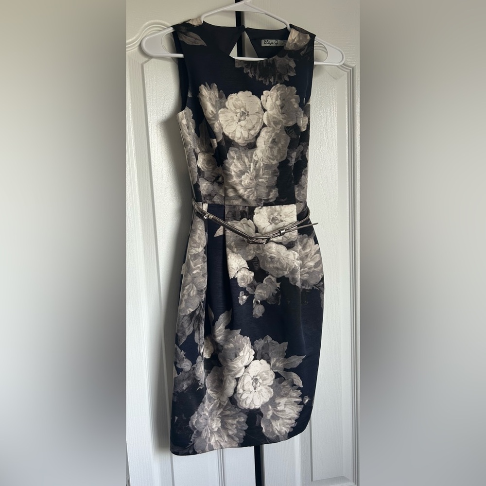 EUC Eliza J Dress